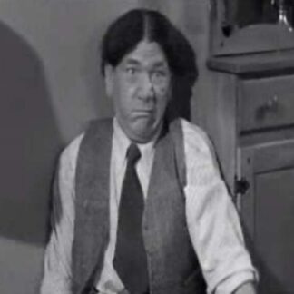 Income Tax Sappy (1954) Starring Moe Howard on DVD