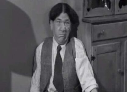 Income Tax Sappy (1954) Starring Moe Howard on DVD