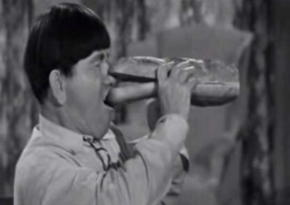 Income Tax Sappy (1954) Starring Moe Howard on DVD - Image 4