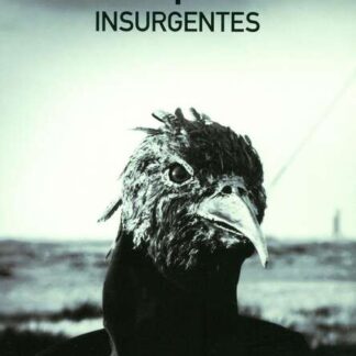 Insurgentes (2009) Starring Steven Wilson on DVD