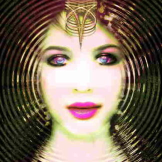 Intellect: Techno House Progressive (2003) Starring Derrick Carter on DVD