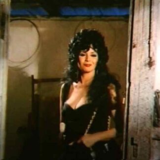 Intimacies of a Prostitute (1972) with English Subtitles on DVD