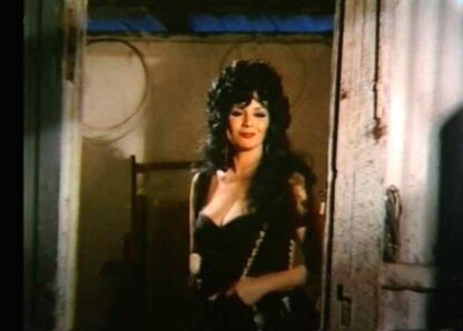 Intimacies of a Prostitute (1972) with English Subtitles on DVD