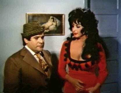 Intimacies of a Prostitute (1972) with English Subtitles on DVD - Image 2