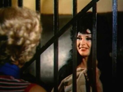 Intimacies of a Prostitute (1972) with English Subtitles on DVD - Image 4