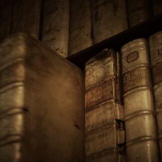 Inventorium of Traces (2009) with English Subtitles on DVD