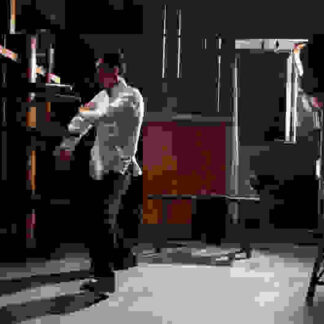 Ip Man 2 (2010) with English Subtitles on DVD