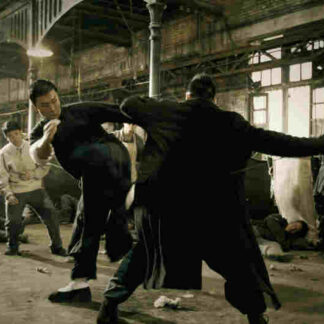 Ip Man (2008) with English Subtitles on DVD