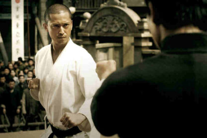 Ip Man (2008) with English Subtitles on DVD - Image 3