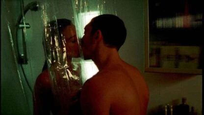 Irreversible (2002) with English Subtitles on DVD