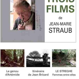 Itinéraire de Jean Bricard (2008) with English Subtitles on DVD