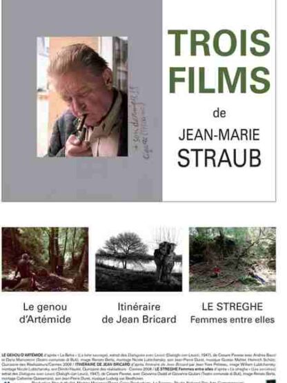 Itinéraire de Jean Bricard (2008) with English Subtitles on DVD