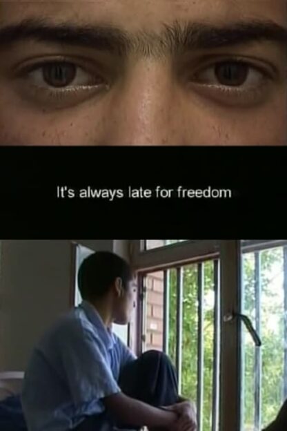 It's Always Late for Freedom (2007) DVD