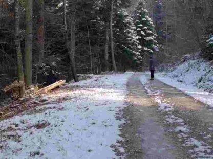 JLG/JLG: Self-Portrait in December (1994) with English Subtitles on DVD - Image 2