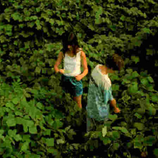 Jess + Moss (2011) Starring Sarah Hagan on DVD