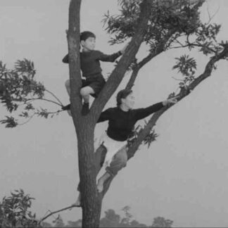 Jochukko (1955) with English Subtitles on DVD