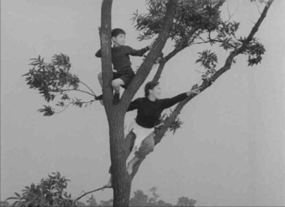 Jochukko (1955) with English Subtitles on DVD