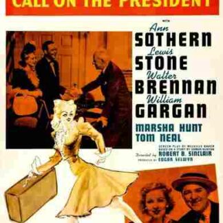 Joe and Ethel Turp Call on the President (1939) Starring Ann Sothern on DVD