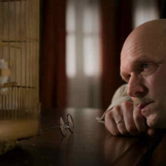 John Rabe (2009) with English Subtitles on DVD