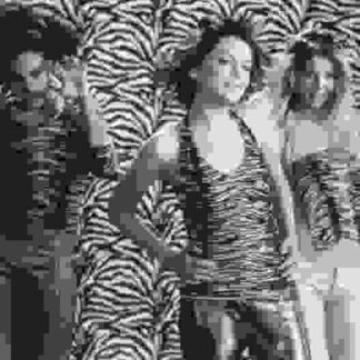 Josie and the Pussycats (2001) Starring Rachael Leigh Cook on DVD