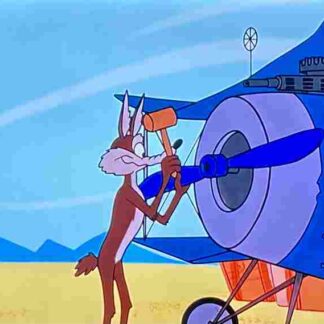 Just Plane Beep (1965) Starring Paul Julian on DVD