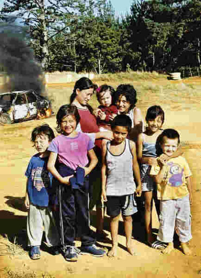 Kaikohe Demolition (2004) Starring Uncle Bim on DVD