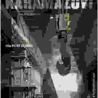 Karamazovi (2008) with English Subtitles on DVD