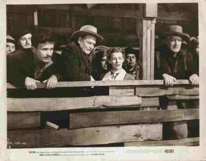 Kazan (1949) Starring Stephen Dunne on DVD - Image 2