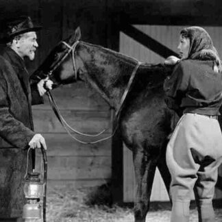 Kentucky (1938) Starring Loretta Young on DVD