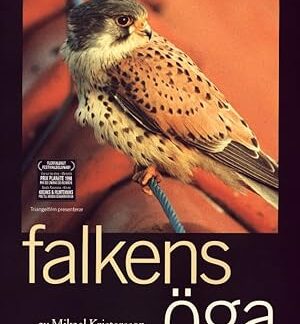 Kestrel's Eye (1998) DVD