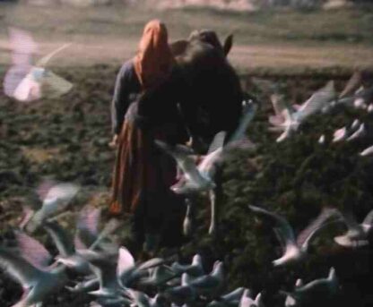 Kihnu naine (1974) with English Subtitles on DVD - Image 2