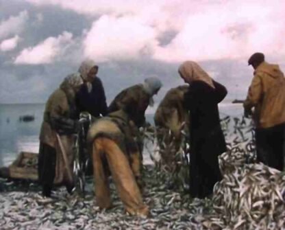 Kihnu naine (1974) with English Subtitles on DVD - Image 3
