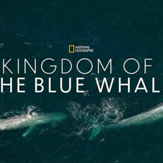 Kingdom of the Blue Whale (2009) Starring Tom Selleck on DVD