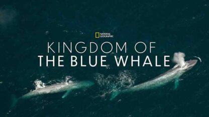 Kingdom of the Blue Whale (2009) Starring Tom Selleck on DVD