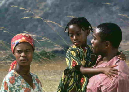 Kini & Adams (1997) Starring Vusi Kunene on DVD - Image 3