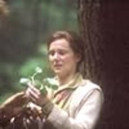 Kinsey (2004) Starring Liam Neeson on DVD