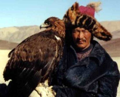 Kiran Over Mongolia (2005) with English Subtitles on DVD - Image 2