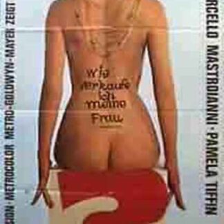 Kiss the Other Sheik (1965) with English Subtitles on DVD