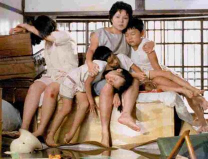 Kuei-mei, a Woman (1985) with English Subtitles on DVD