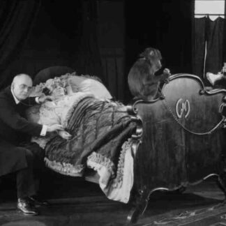 Kukla s millionami (1928) with English Subtitles on DVD