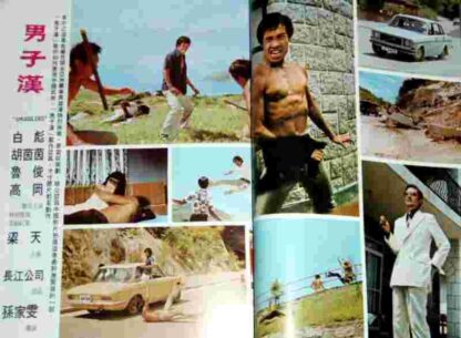 Kung Fu Cops (1973) with English Subtitles on DVD - Image 3