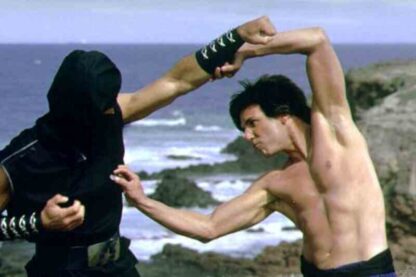 Kung Pow: Enter the Fist (2002) Starring Steve Oedekerk on DVD - Image 3