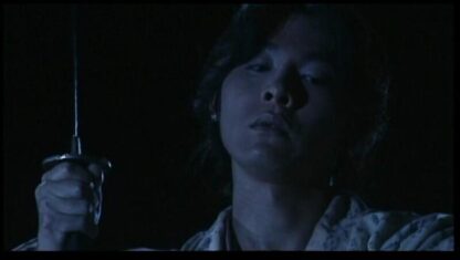 Kunoichi: Deadly Mirage (1997) with English Subtitles on DVD