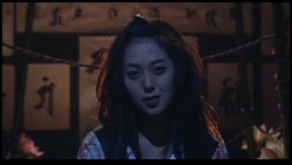 Kunoichi: Deadly Mirage (1997) with English Subtitles on DVD - Image 3