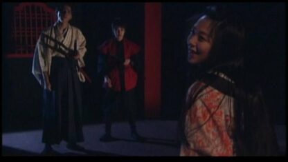 Kunoichi: Deadly Mirage (1997) with English Subtitles on DVD - Image 4