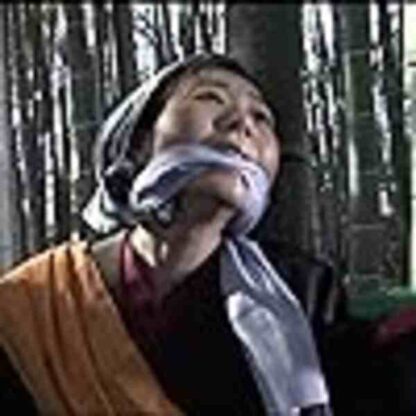 Kunoichi ninpô-chô: Kage no tsuki (2011) with English Subtitles on DVD - Image 3
