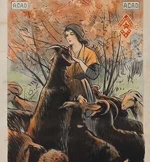 La bergère d'Ivry (1913) DVD