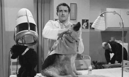 La cambiale (1959) with English Subtitles on DVD - Image 3