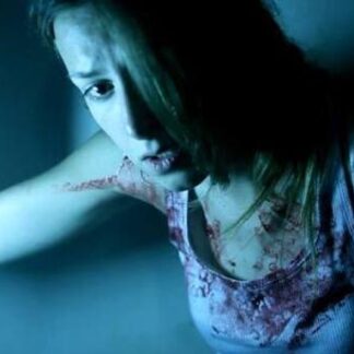 La casa muda (2010) with English Subtitles on DVD