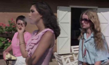 La compagna di banco (1977) with English Subtitles on DVD - Image 3